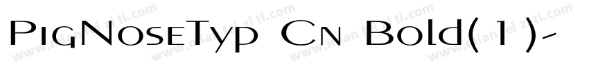 PigNoseTyp Cn Bold(1)字体转换